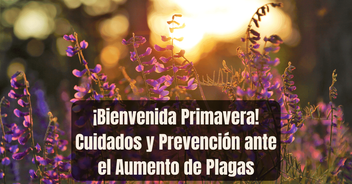 Cover Image for ¡Bienvenida Primavera! Cuidados y Prevención ante el Aumento de Plagas
